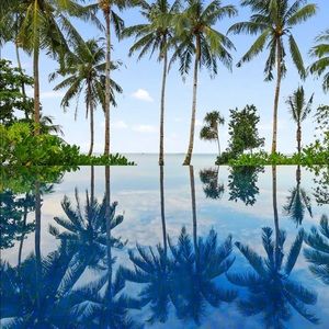 Meet your Posher, Carol W